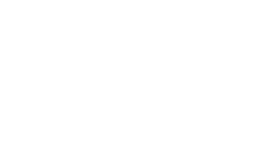 Linguana - Creator translation services